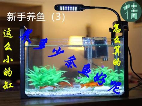 魚缸魚的數量|計算魚缸魚量神器